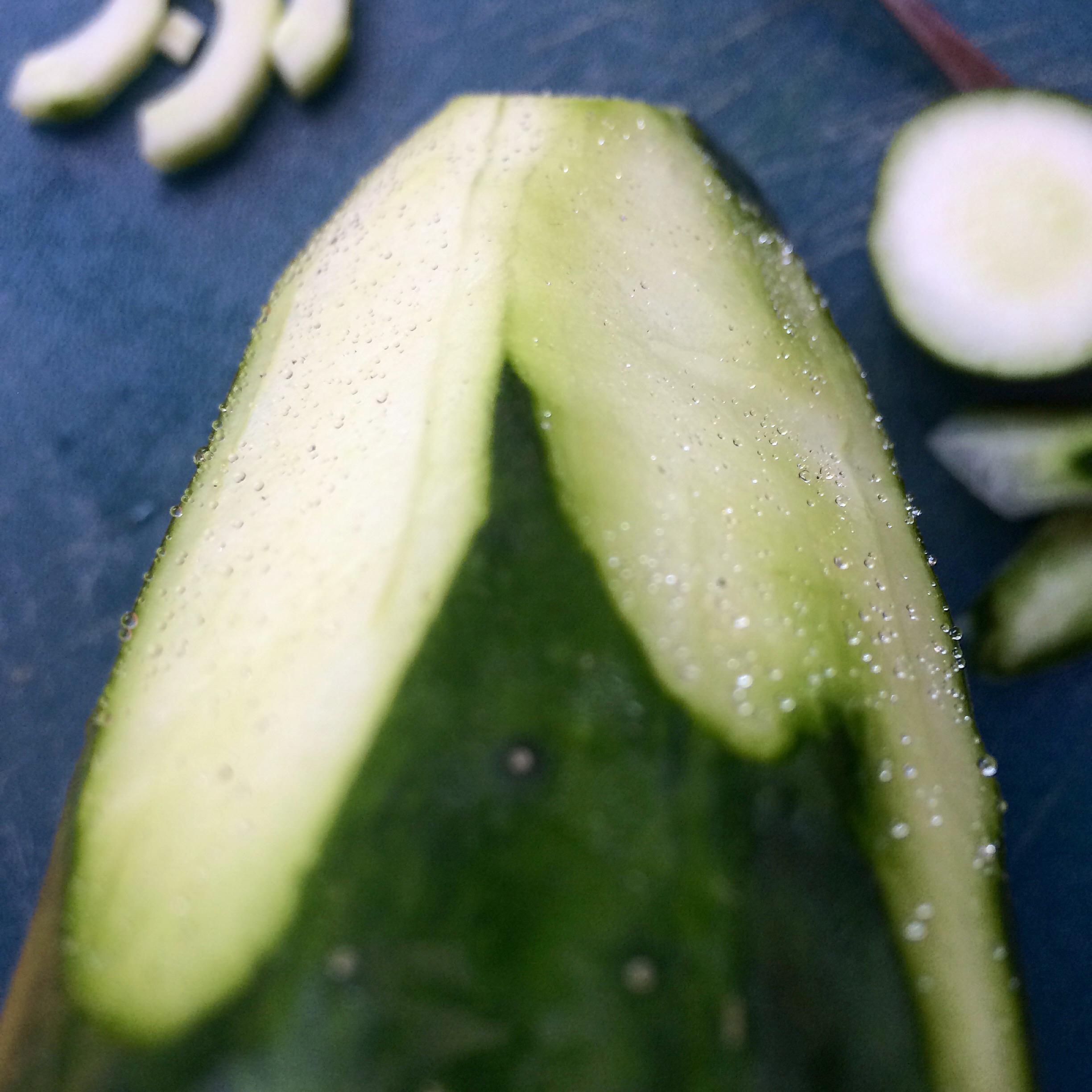 cucumber