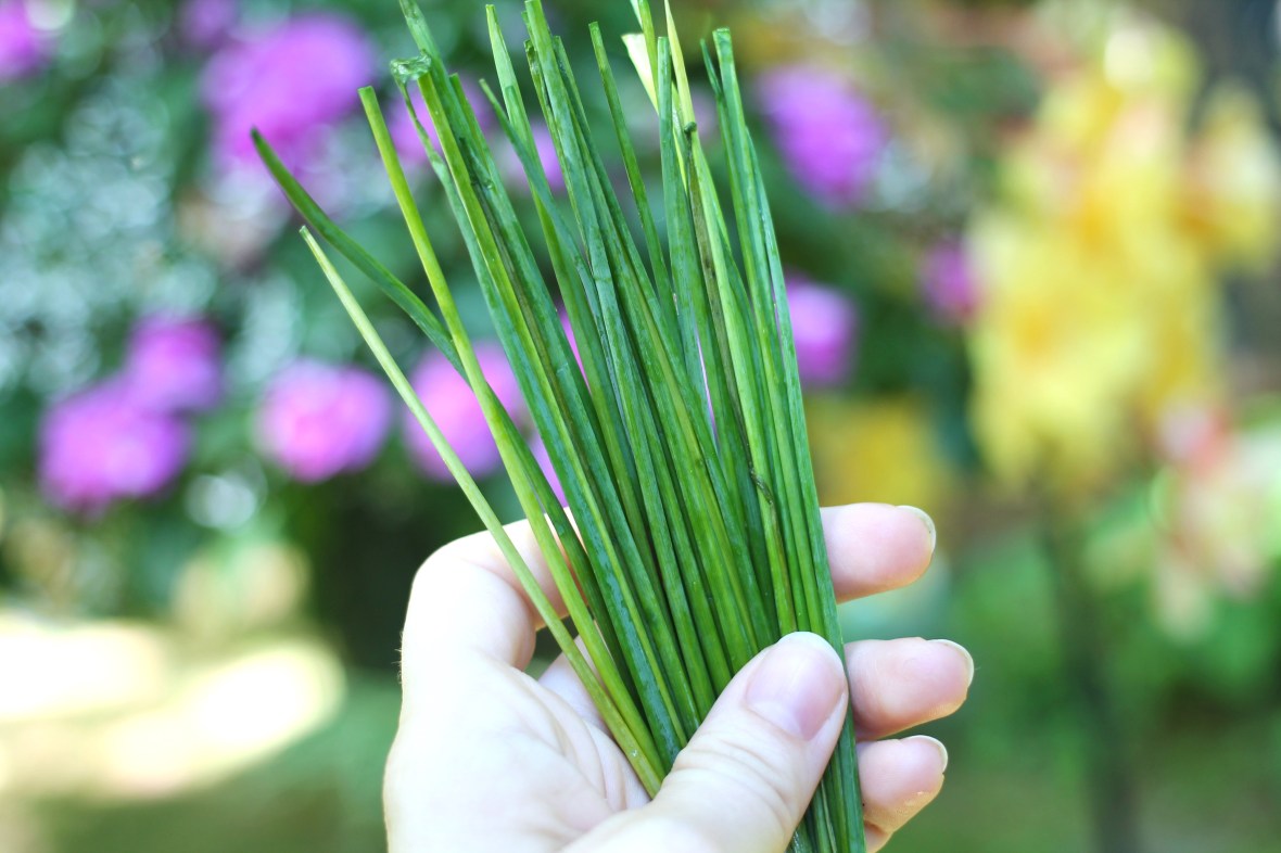 fresh chives